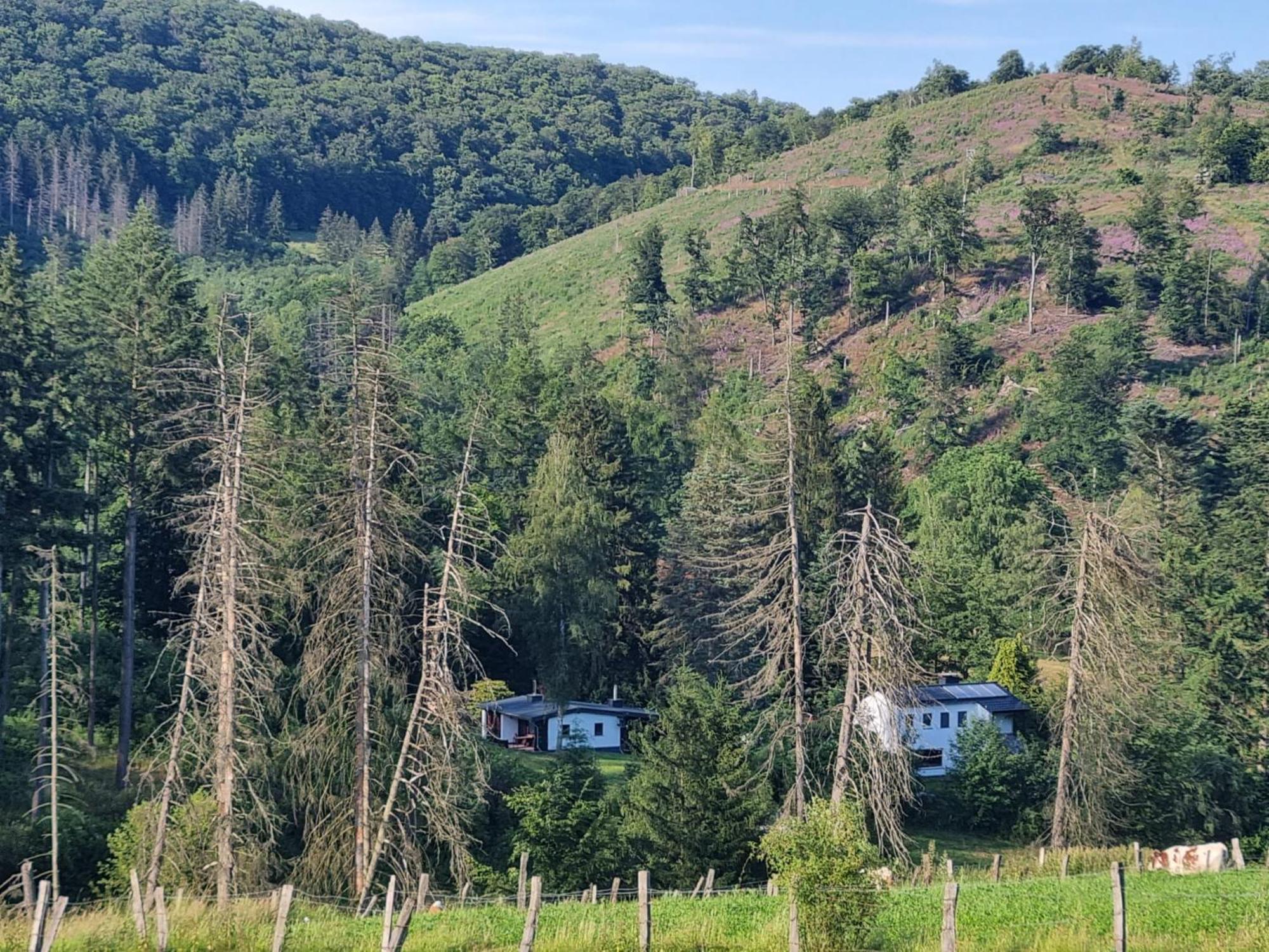 Explorer'S Lodge & Camping Helminghausen Екстериор снимка