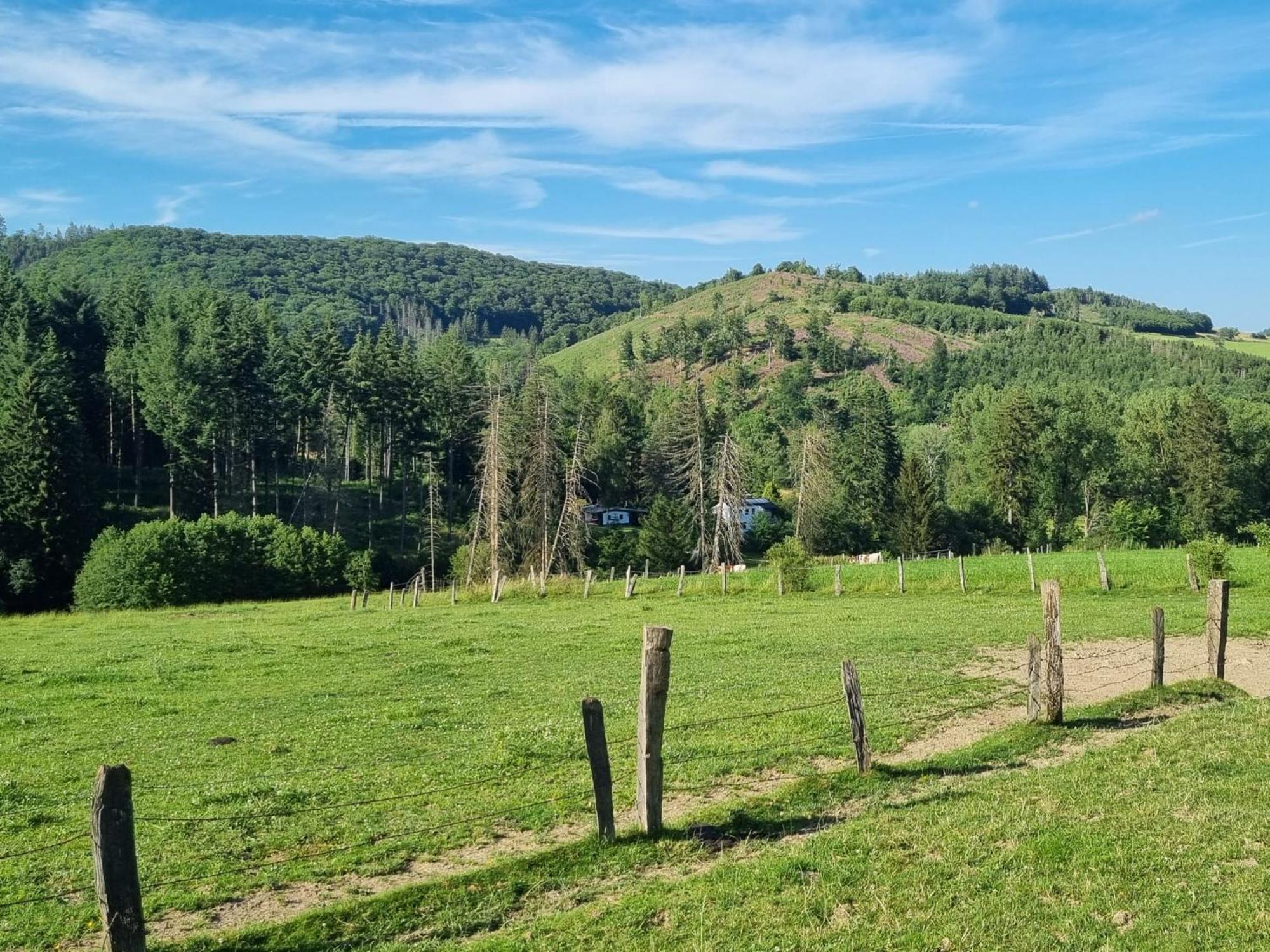Explorer'S Lodge & Camping Helminghausen Екстериор снимка