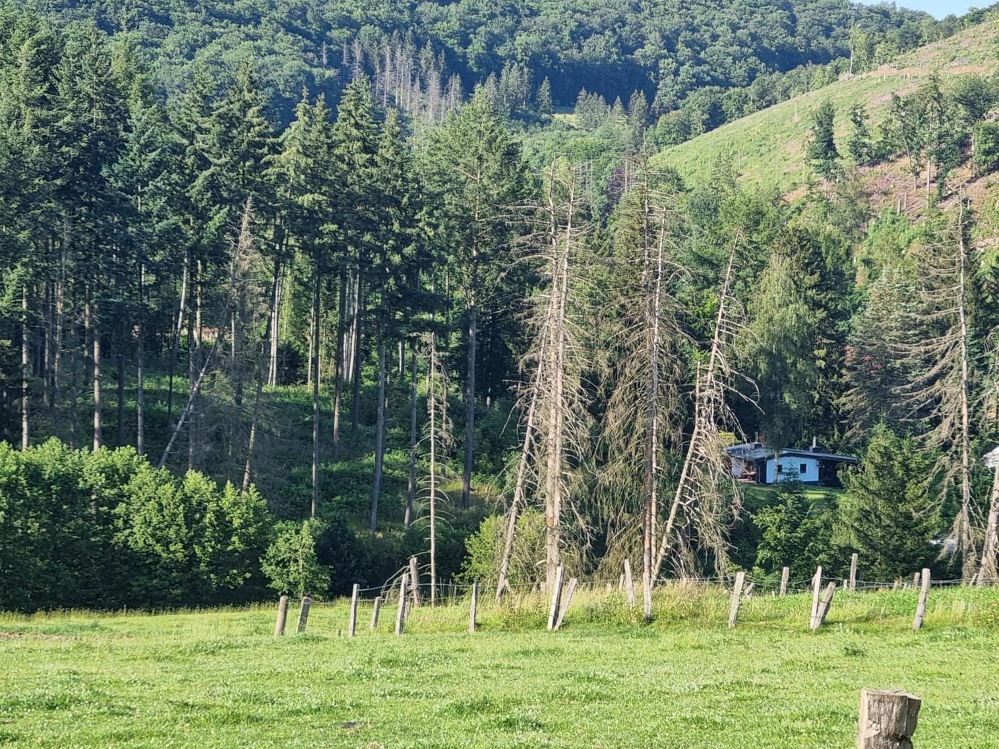 Explorer'S Lodge & Camping Helminghausen Екстериор снимка