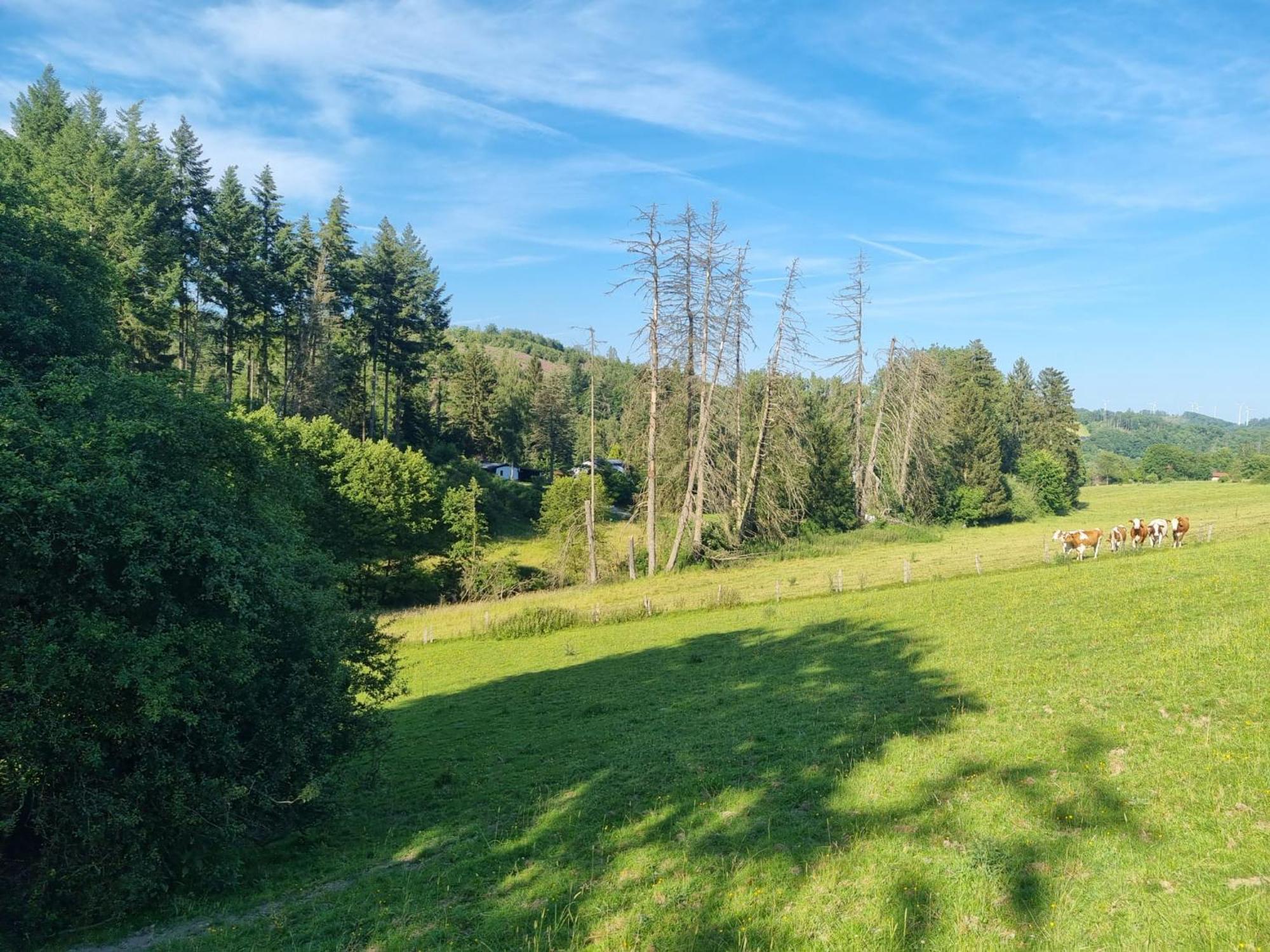 Explorer'S Lodge & Camping Helminghausen Екстериор снимка